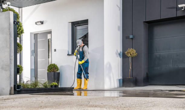 Best Driveway Pressure Washing  in Miller Place, NY